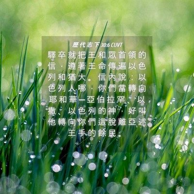 Picture 04 - 歷 代 志 下 30:6 CUVT - 驛 卒 就 把 王 和 眾 首 領 的 信 ， - Bible Verse Picture