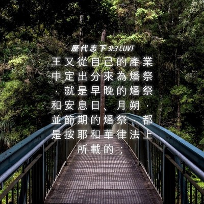 Picture 04 - 歷 代 志 下 31:3 CUVT - 王 又 從 自 己 的 產 業 中 定 出 分 - Bible Verse Picture