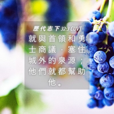 Picture 04 - 歷 代 志 下 32:3 CUVT - 就 與 首 領 和 勇 士 商 議 ， 塞 住 - Bible Verse Picture