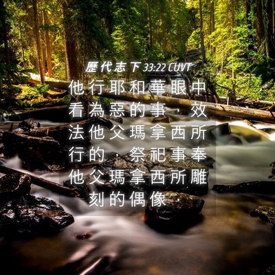 Picture 04 - 歷 代 志 下 33:22 CUVT - 他 行 耶 和 華 眼 中 看 為 惡 的 事 - Bible Verse Picture
