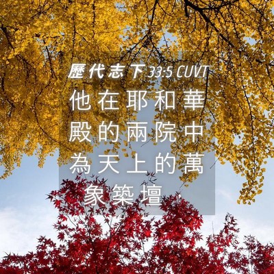 Picture 04 - 歷 代 志 下 33:5 CUVT - 他 在 耶 和 華 殿 的 兩 院 中 為 天 - Bible Verse Picture