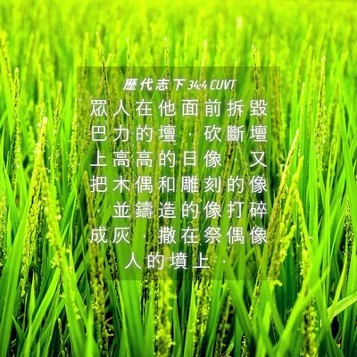 Picture 04 - 歷 代 志 下 34:4 CUVT - 眾 人 在 他 面 前 拆 毀 巴 力 的 壇 - Bible Verse Picture