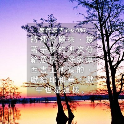 Picture 04 - 歷 代 志 下 35:12 CUVT - 將 燔 祭 搬 來 ， 按 著 宗 族 的 班 - Bible Verse Picture