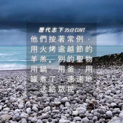 Picture 04 - 歷 代 志 下 35:13 CUVT - 他 們 按 著 常 例 ， 用 火 烤 逾 越 - Bible Verse Picture