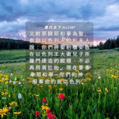 Picture 04 - 歷 代 志 下 35:3 CUVT - 又 對 那 歸 耶 和 華 為 聖 、 教 訓 - Bible Verse Picture