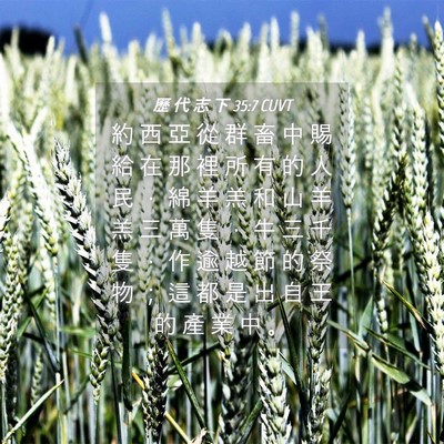Picture 04 - 歷 代 志 下 35:7 CUVT - 約 西 亞 從 群 畜 中 賜 給 在 那 裡 - Bible Verse Picture