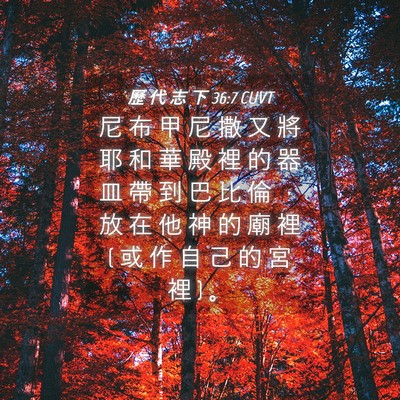Picture 04 - 歷 代 志 下 36:7 CUVT - 尼 布 甲 尼 撒 又 將 耶 和 華 殿 裡 - Bible Verse Picture