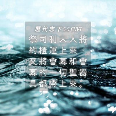 Picture 04 - 歷 代 志 下 5:5 CUVT - 祭 司 利 未 人 將 約 櫃 運 上 來 ， - Bible Verse Picture