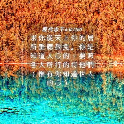 Picture 04 - 歷 代 志 下 6:30 CUVT - 求 你 從 天 上 你 的 居 所 垂 聽 赦 - Bible Verse Picture