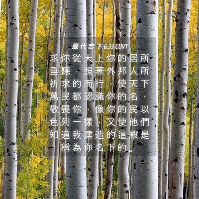 Picture 04 - 歷 代 志 下 6:33 CUVT - 求 你 從 天 上 你 的 居 所 垂 聽 ， - Bible Verse Picture