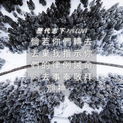 Picture 04 - 歷 代 志 下 7:19 CUVT - 倘 若 你 們 轉 去 丟 棄 我 指 示 你 - Bible Verse Picture