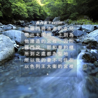 Picture 04 - 歷 代 志 下 8:11 CUVT - 所 羅 門 將 法 老 的 女 兒 帶 出 大 - Bible Verse Picture
