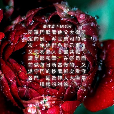 Picture 04 - 歷 代 志 下 8:14 CUVT - 所 羅 門 照 著 他 父 大 衛 所 定 的 - Bible Verse Picture