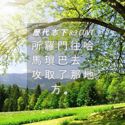 Picture 04 - 歷 代 志 下 8:3 CUVT - 所 羅 門 往 哈 馬 瑣 巴 去 ， 攻 取 - Bible Verse Picture
