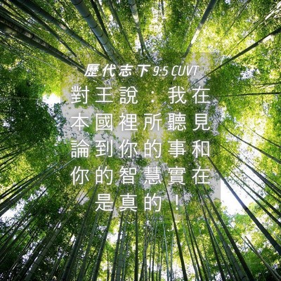 Picture 04 - 歷 代 志 下 9:5 CUVT - 對 王 說 ： 我 在 本 國 裡 所 聽 見 - Bible Verse Picture