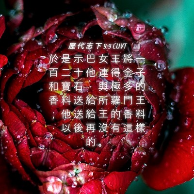Picture 04 - 歷 代 志 下 9:9 CUVT - 於 是 示 巴 女 王 將 一 百 二 十 他 - Bible Verse Picture
