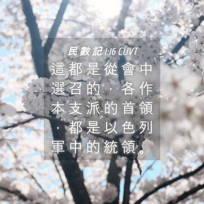 Picture 04 - 民 數 記 1:16 CUVT - 這 都 是 從 會 中 選 召 的 ， 各 作 - Bible Verse Picture