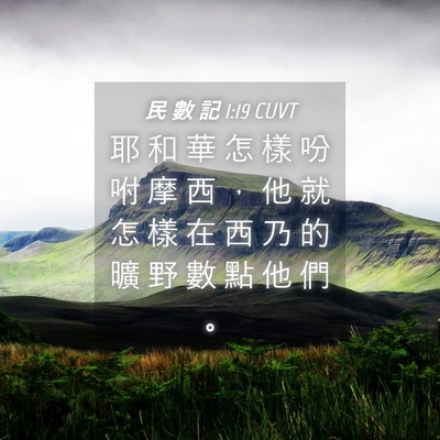 Picture 04 - 民 數 記 1:19 CUVT - 耶 和 華 怎 樣 吩 咐 摩 西 ， 他 就 - Bible Verse Picture