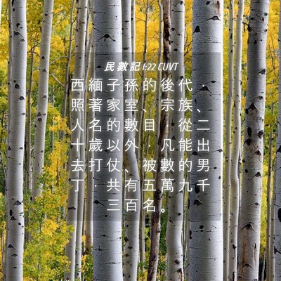 Picture 04 - 民 數 記 1:22 CUVT - 西 緬 子 孫 的 後 代 ， 照 著 家 室 - Bible Verse Picture
