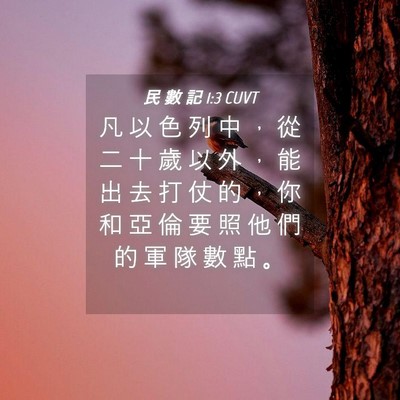 Picture 04 - 民 數 記 1:3 CUVT - 凡 以 色 列 中 ， 從 二 十 歲 以 外 - Bible Verse Picture