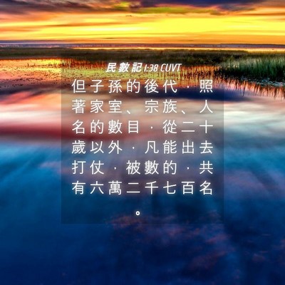 Picture 04 - 民 數 記 1:38 CUVT - 但 子 孫 的 後 代 ， 照 著 家 室 、 - Bible Verse Picture