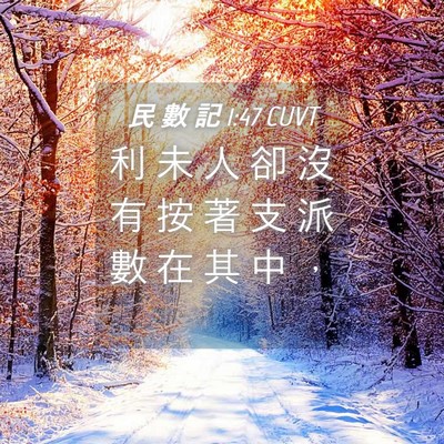 Picture 04 - 民 數 記 1:47 CUVT - 利 未 人 卻 沒 有 按 著 支 派 數 在 - Bible Verse Picture