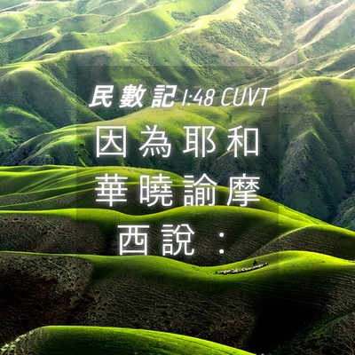 Picture 04 - 民 數 記 1:48 CUVT - 因 為 耶 和 華 曉 諭 摩 西 說 - Bible Verse Picture