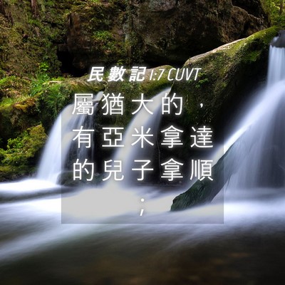 Picture 04 - 民 數 記 1:7 CUVT - 屬 猶 大 的 ， 有 亞 米 拿 達 的 兒 - Bible Verse Picture