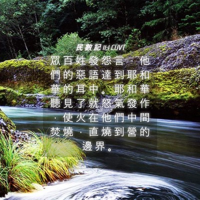 Picture 04 - 民 數 記 11:1 CUVT - 眾 百 姓 發 怨 言 ， 他 們 的 惡 語 - Bible Verse Picture
