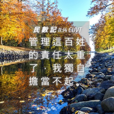 Picture 04 - 民 數 記 11:14 CUVT - 管 理 這 百 姓 的 責 任 太 重 了 ， - Bible Verse Picture