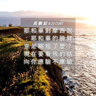 Picture 04 - 民 數 記 11:23 CUVT - 耶 和 華 對 摩 西 說 ： 耶 和 華 的 - Bible Verse Picture