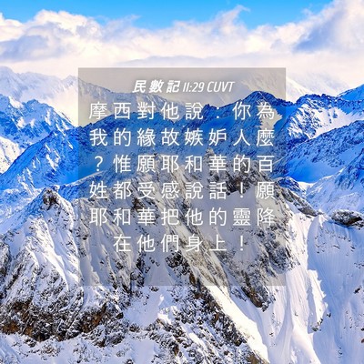 Picture 04 - 民 數 記 11:29 CUVT - 摩 西 對 他 說 ： 你 為 我 的 緣 故 - Bible Verse Picture