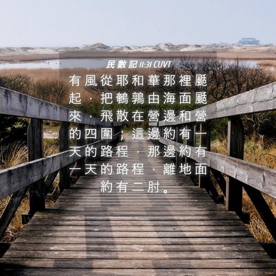 Picture 04 - 民 數 記 11:31 CUVT - 有 風 從 耶 和 華 那 裡 颳 起 ， 把 - Bible Verse Picture