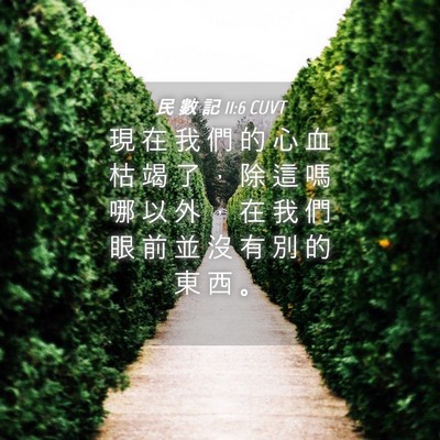 Picture 04 - 民 數 記 11:6 CUVT - 現 在 我 們 的 心 血 枯 竭 了 ， 除 - Bible Verse Picture