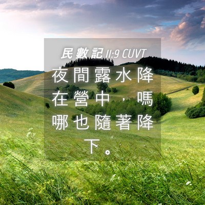 Picture 04 - 民 數 記 11:9 CUVT - 夜 間 露 水 降 在 營 中 ， 嗎 哪 也 - Bible Verse Picture