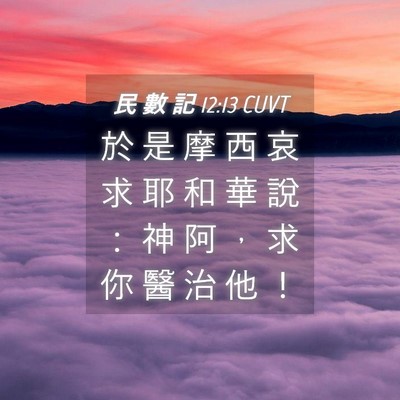 Picture 04 - 民 數 記 12:13 CUVT - 於 是 摩 西 哀 求 耶 和 華 說 ： 神 - Bible Verse Picture
