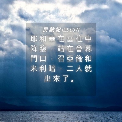 Picture 04 - 民 數 記 12:5 CUVT - 耶 和 華 在 雲 柱 中 降 臨 ， 站 在 - Bible Verse Picture