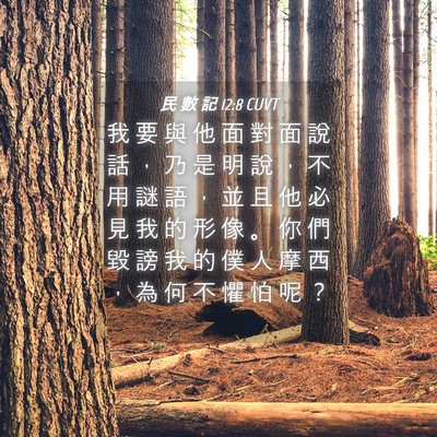 Picture 04 - 民 數 記 12:8 CUVT - 我 要 與 他 面 對 面 說 話 ， 乃 是 - Bible Verse Picture