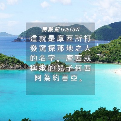 Picture 04 - 民 數 記 13:16 CUVT - 這 就 是 摩 西 所 打 發 窺 探 那 地 - Bible Verse Picture