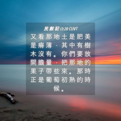 Picture 04 - 民 數 記 13:20 CUVT - 又 看 那 地 土 是 肥 美 是 瘠 薄 ， - Bible Verse Picture