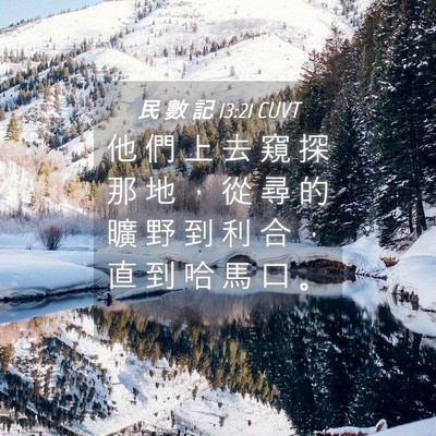 Picture 04 - 民 數 記 13:21 CUVT - 他 們 上 去 窺 探 那 地 ， 從 尋 的 - Bible Verse Picture