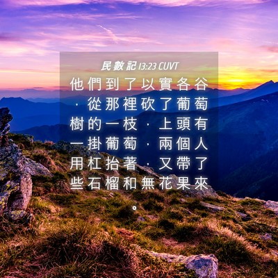 Picture 04 - 民 數 記 13:23 CUVT - 他 們 到 了 以 實 各 谷 ， 從 那 裡 - Bible Verse Picture