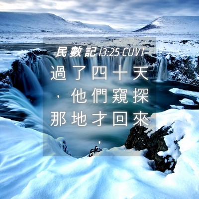 Picture 04 - 民 數 記 13:25 CUVT - 過 了 四 十 天 ， 他 們 窺 探 那 地 - Bible Verse Picture