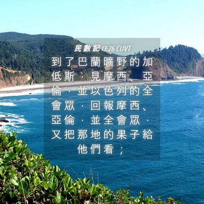 Picture 04 - 民 數 記 13:26 CUVT - 到 了 巴 蘭 曠 野 的 加 低 斯 ， 見 - Bible Verse Picture