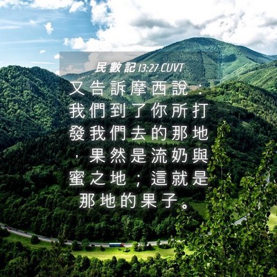 Picture 04 - 民 數 記 13:27 CUVT - 又 告 訴 摩 西 說 ： 我 們 到 了 你 - Bible Verse Picture
