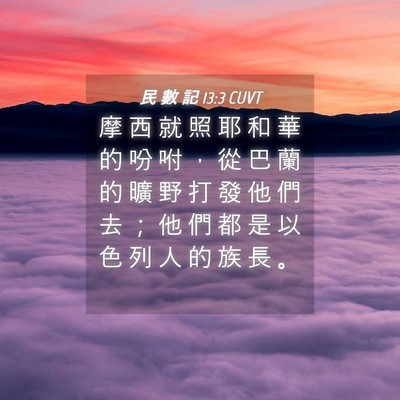 Picture 04 - 民 數 記 13:3 CUVT - 摩 西 就 照 耶 和 華 的 吩 咐 ， 從 - Bible Verse Picture