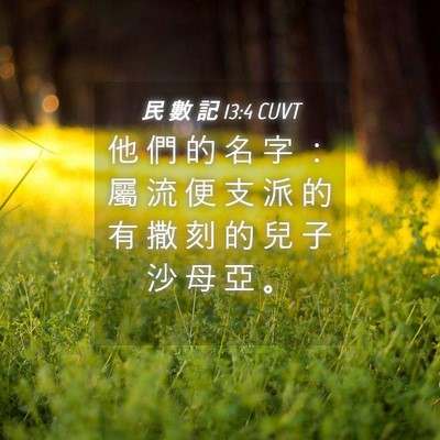 Picture 04 - 民 數 記 13:4 CUVT - 他 們 的 名 字 ： 屬 流 便 支 派 的 - Bible Verse Picture