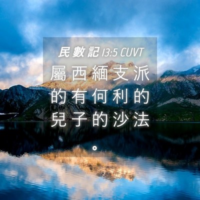 Picture 04 - 民 數 記 13:5 CUVT - 屬 西 緬 支 派 的 有 何 利 的 兒 子 - Bible Verse Picture
