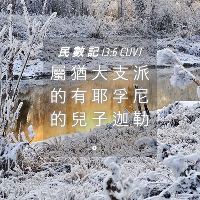 Picture 04 - 民 數 記 13:6 CUVT - 屬 猶 大 支 派 的 有 耶 孚 尼 的 兒 - Bible Verse Picture