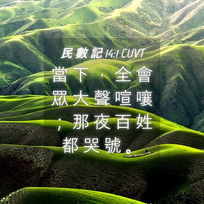 Picture 04 - 民 數 記 14:1 CUVT - 當 下 ， 全 會 眾 大 聲 喧 嚷 ； 那 - Bible Verse Picture